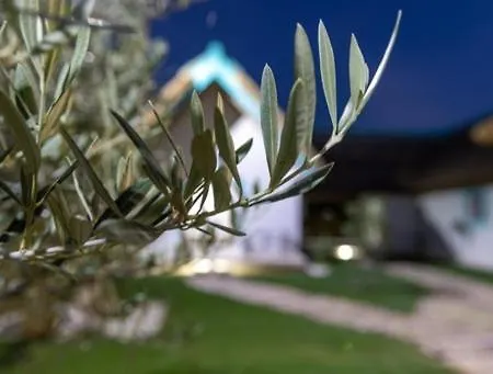 게스트하우스 Laguna 3*