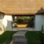 Guest house Laguna